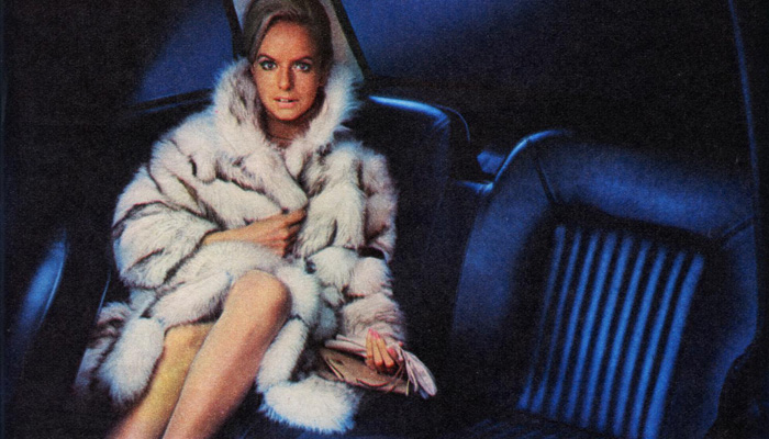 Fur Coat And No Knickers Email Marketing